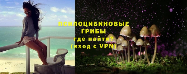 метадон Белокуриха