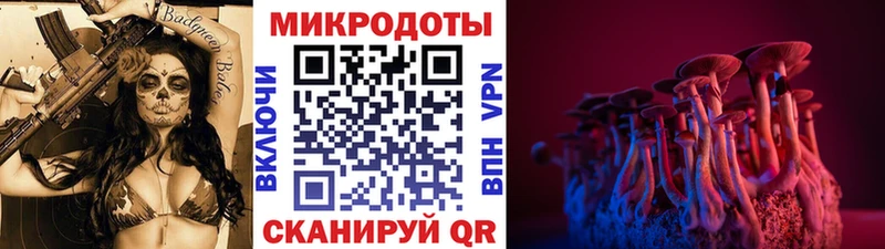 нарко площадка состав  Кулебаки  Галлюциногенные грибы Cubensis 